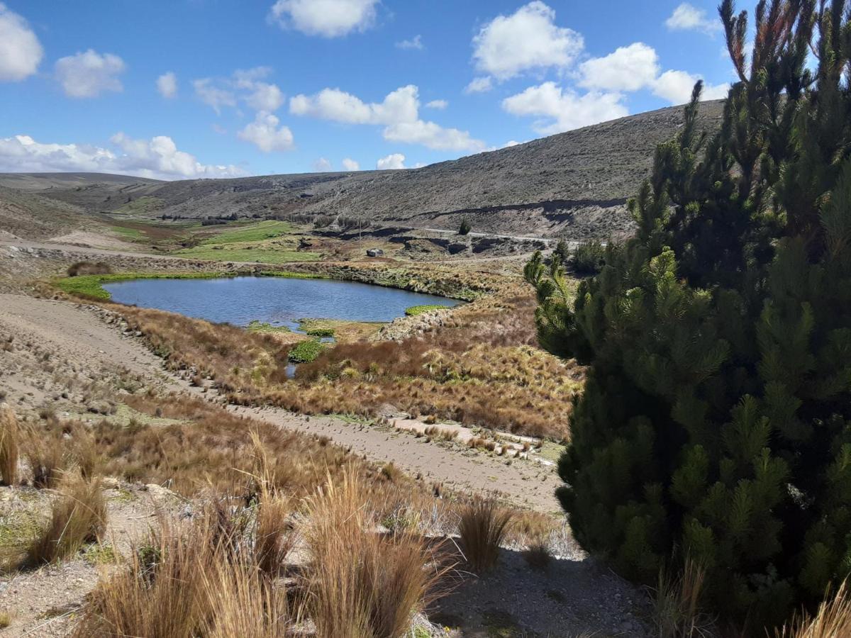 Hospedaje Chimborazo Exterior photo